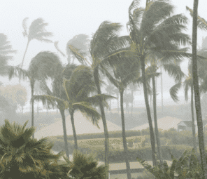 Solar Panels During Florida’s Hurricane Season