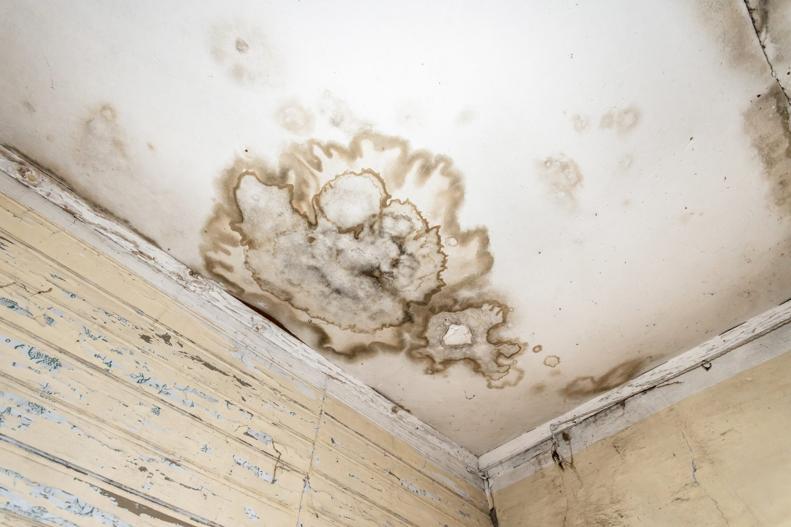 Common Spring Roof Problems, Fort Lauderdale