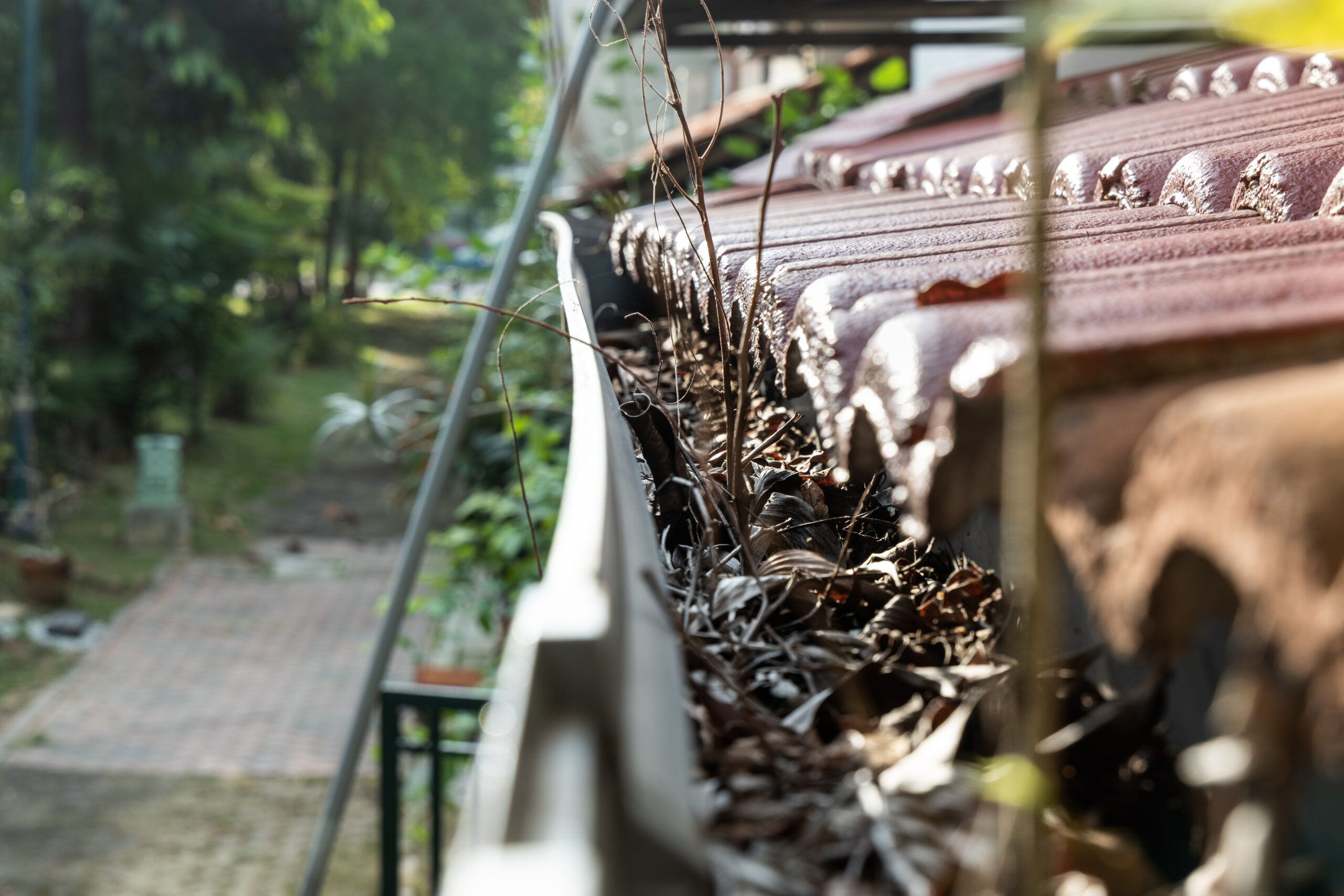 Common Spring Roof Problems, Fort Lauderdale